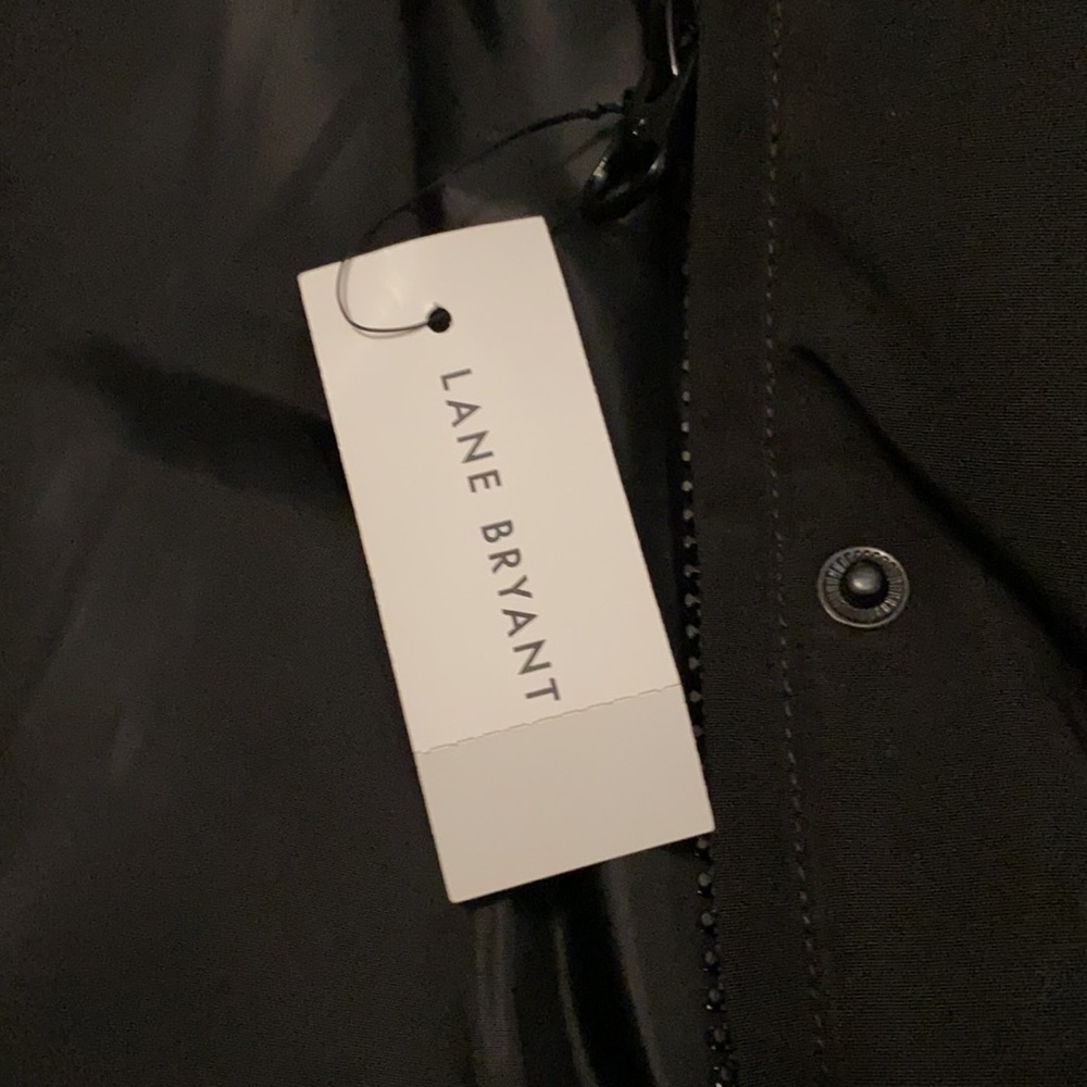 Jacket - Picture 3 of 9